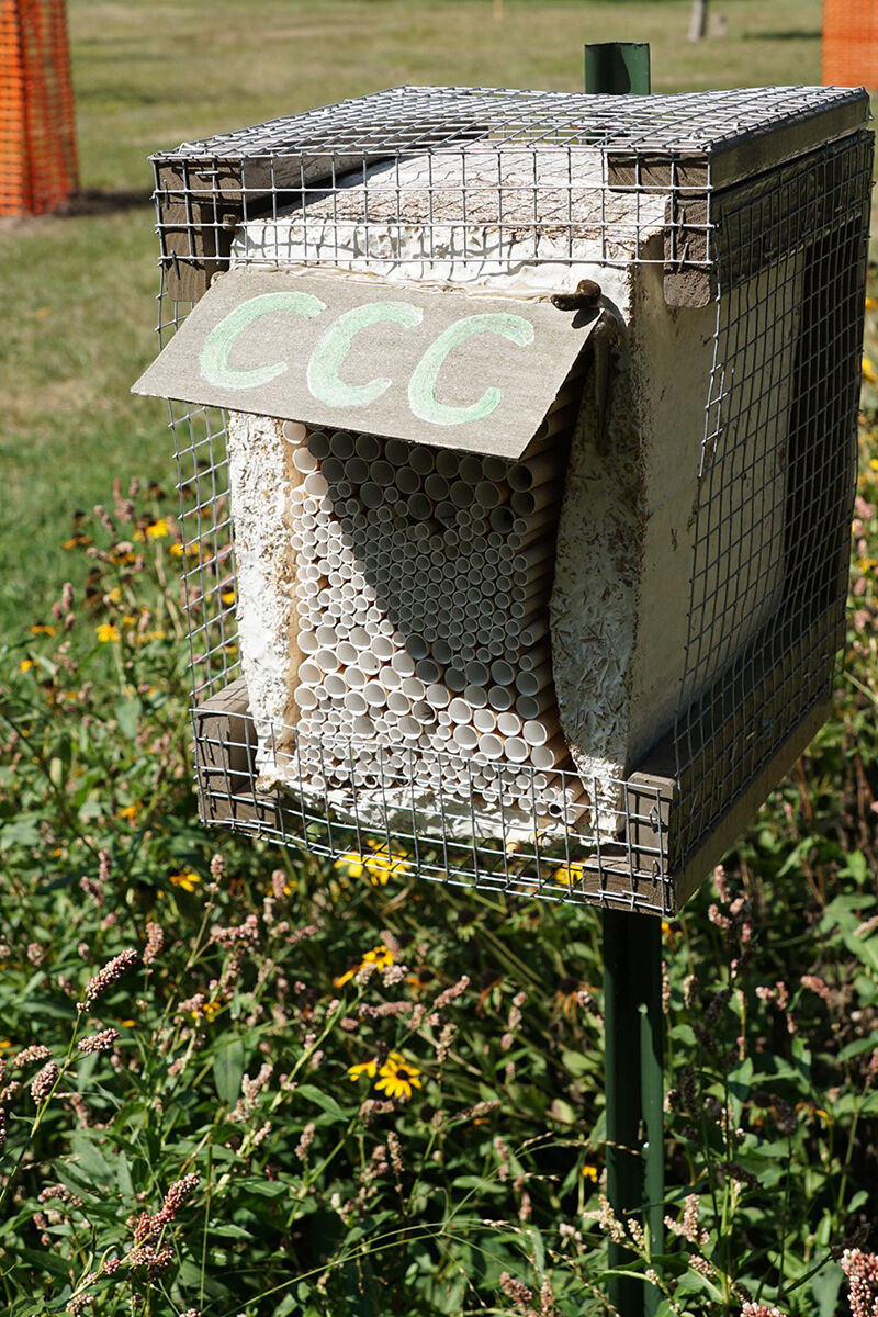 CCC- Aboretum Landscape award